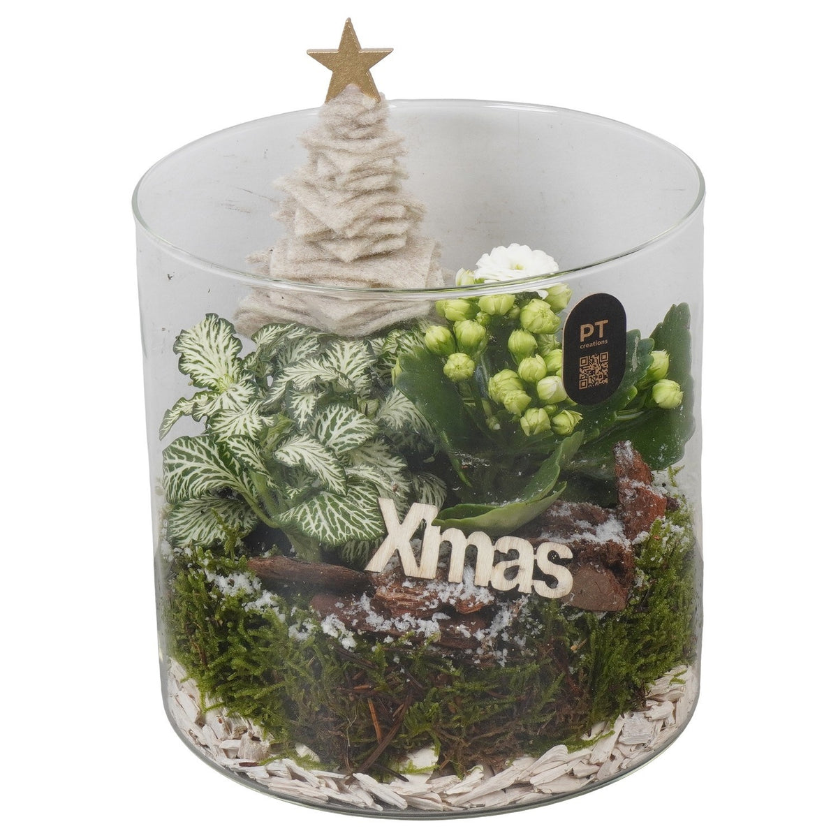 Christmas arrangement 18cm 15cm Pot