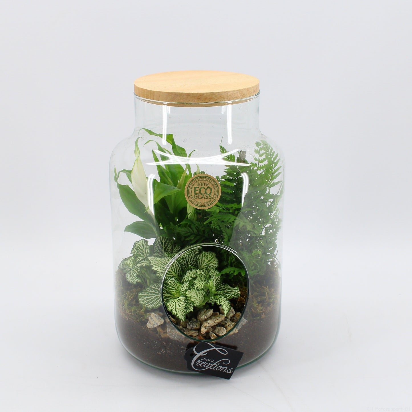 GRCR-2611 Green Essentials terrarium 30cm 19cm Pot