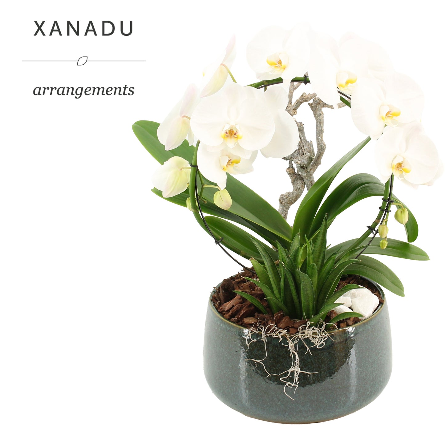 Xanadu Porto 50cm 24cm Pot