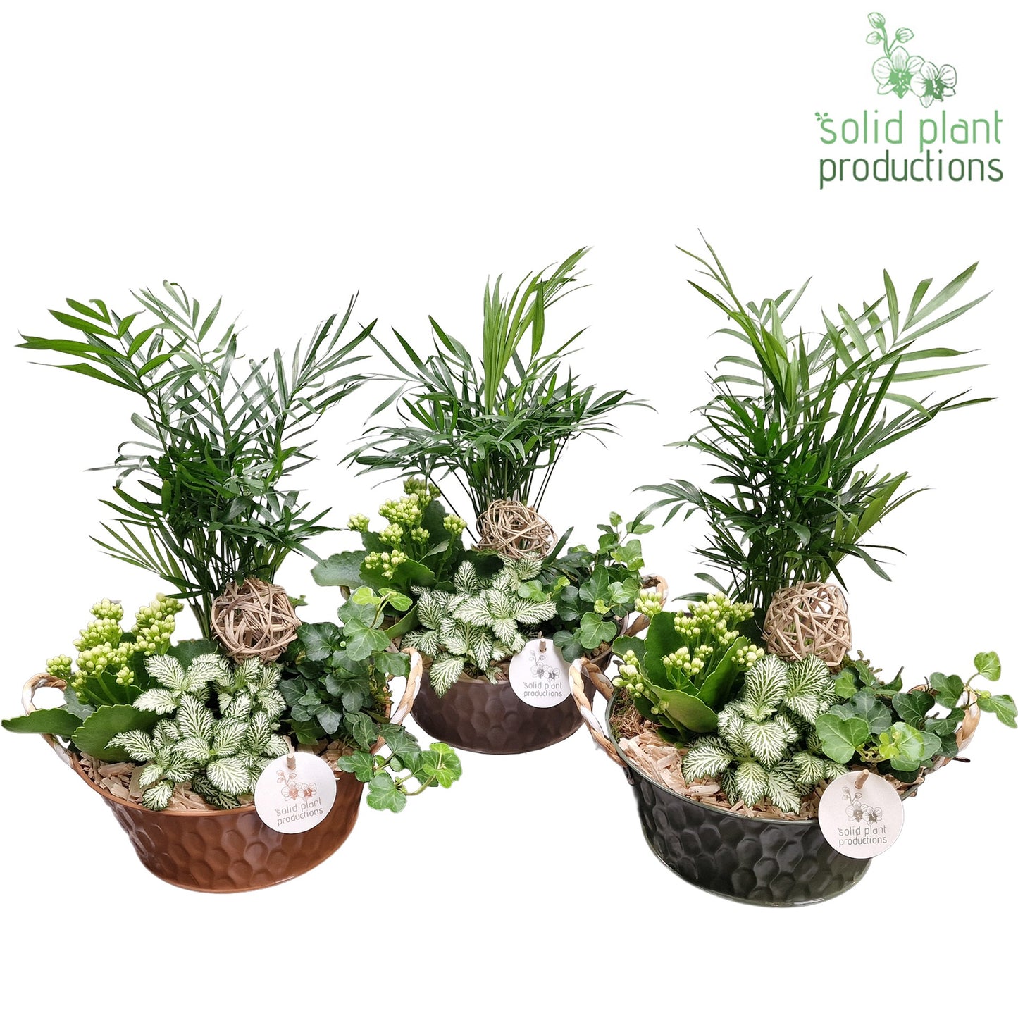 CH016 Miami 38cm 21cm Pot