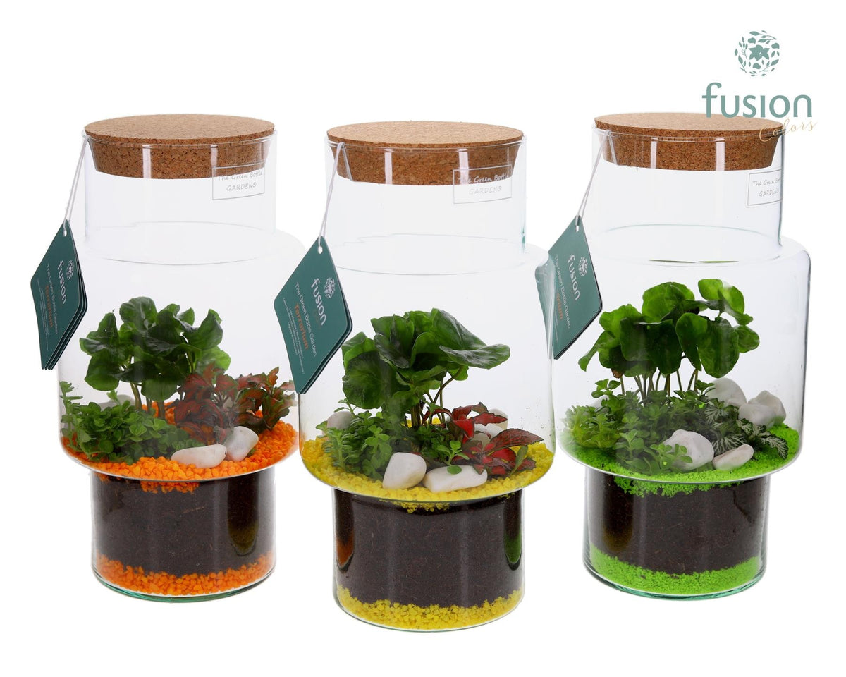 Green Bottle Sara Medium met Terrarium Arrangement 29cm 16cm Pot