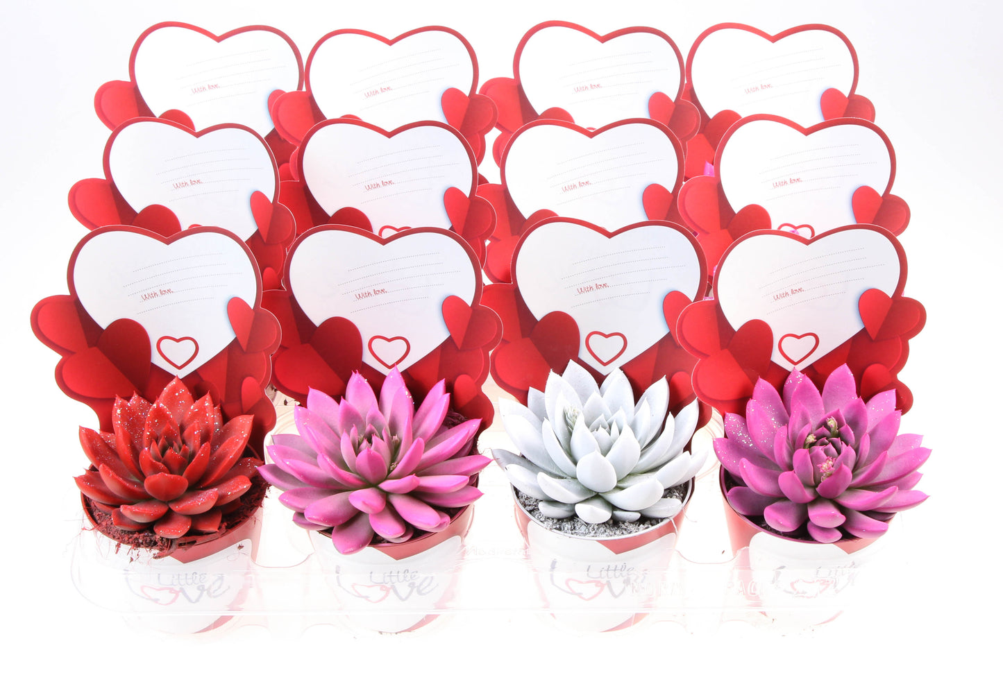 Potcover little love Miranda rainbow + glitter 10cm Special Pot (508)