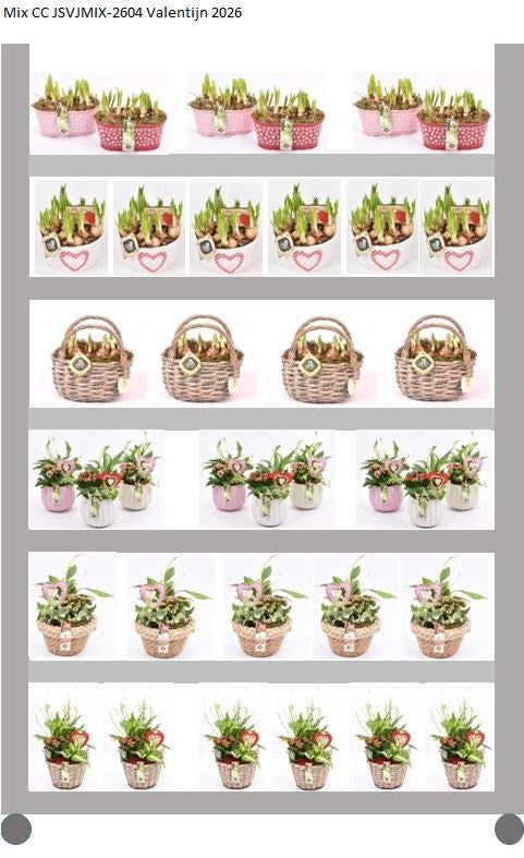 JS-Creations arr. Bulbs Pack of 124