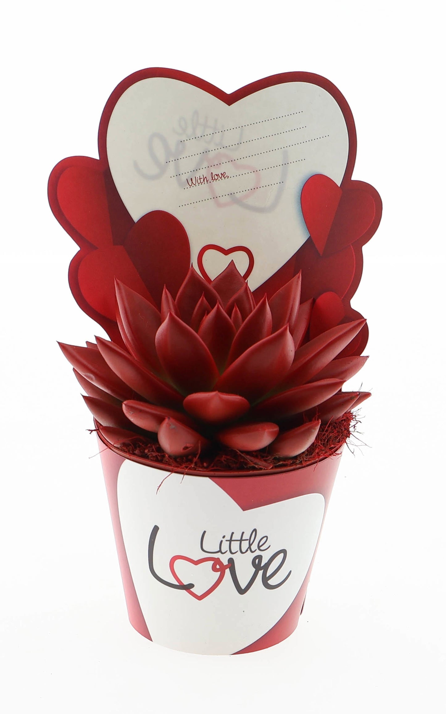 Potcover little love miranda red 10cm 8.5cm Pot