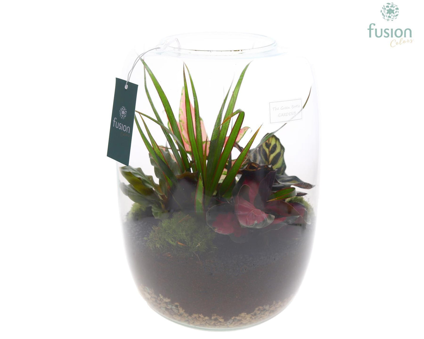 Fusioncolors BV Green Bottle Isabella XLarge met Groen planten Pack of 2