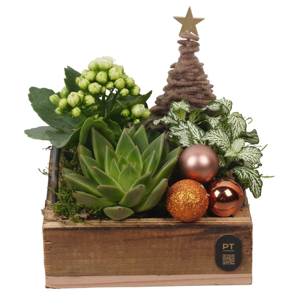 Christmas arrangement 18cm 15cm Pot