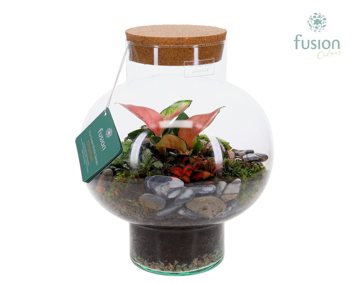 Green Bottle Laura Medium met Terrarium arrangement 35cm 26cm Pot