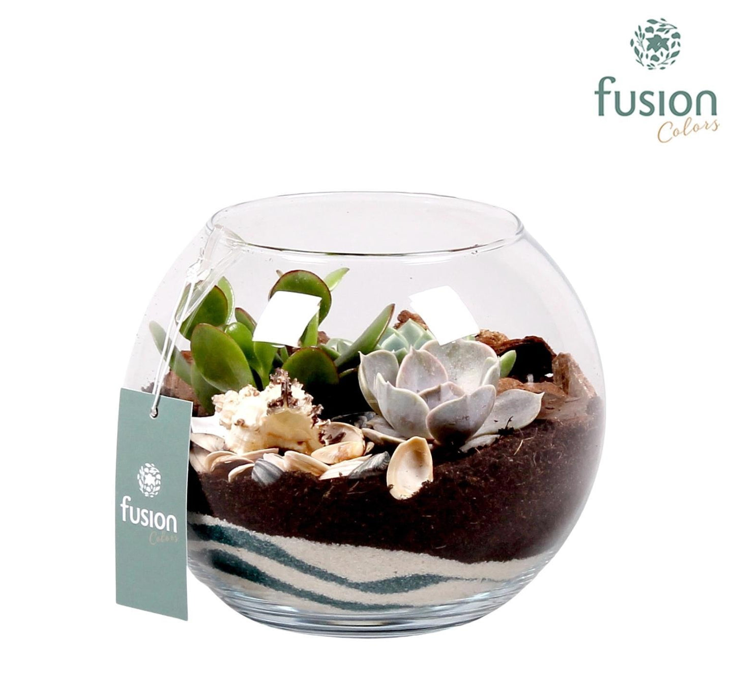 Maritiem glazen vissenkom 20cm 19cm Pot