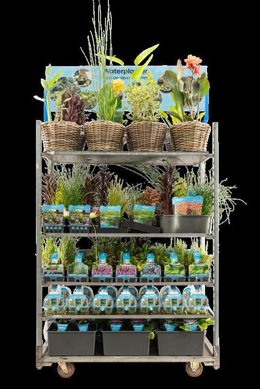 Waterplants 999cm 999cm Pot