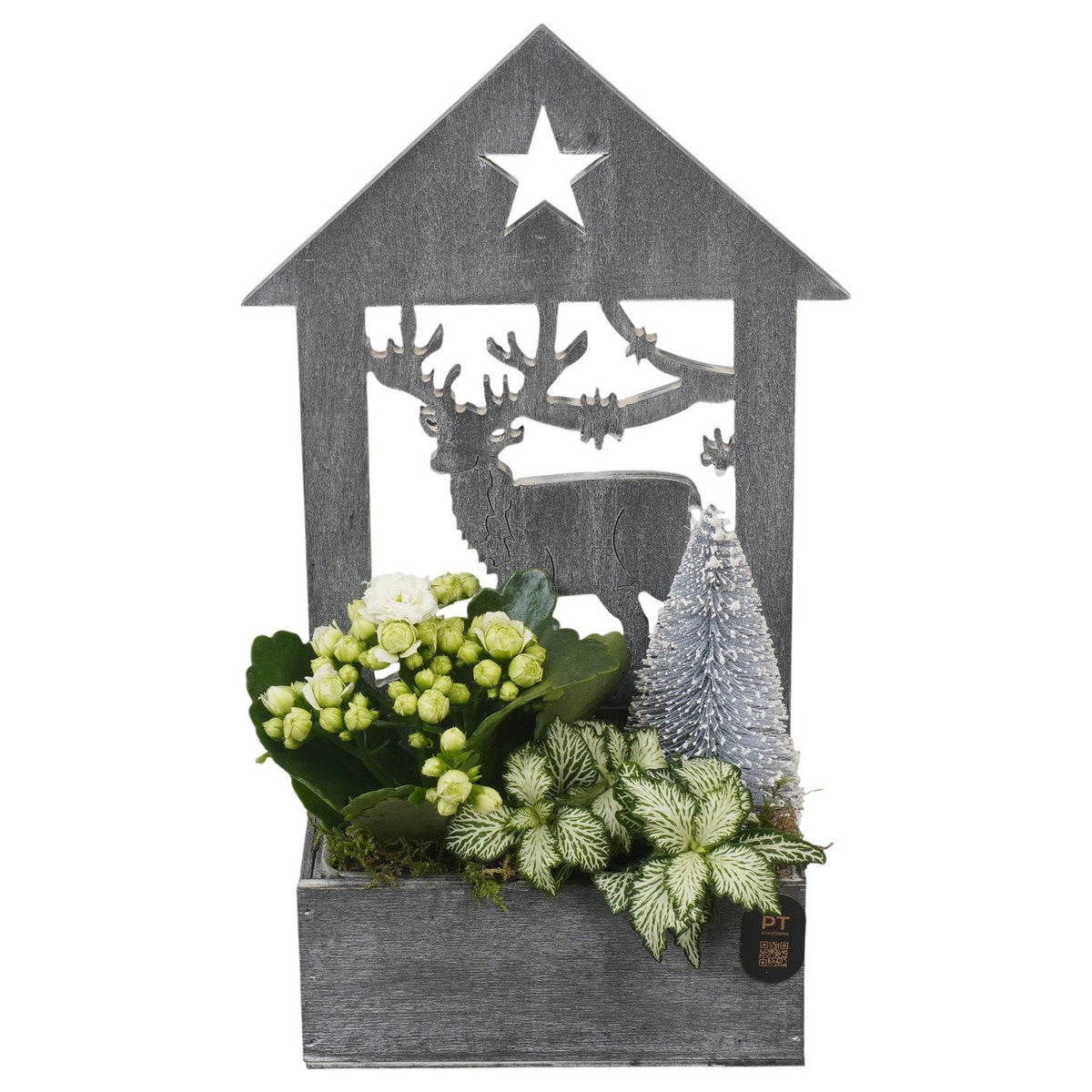 Christmas arrangement 32cm 16cm Pot