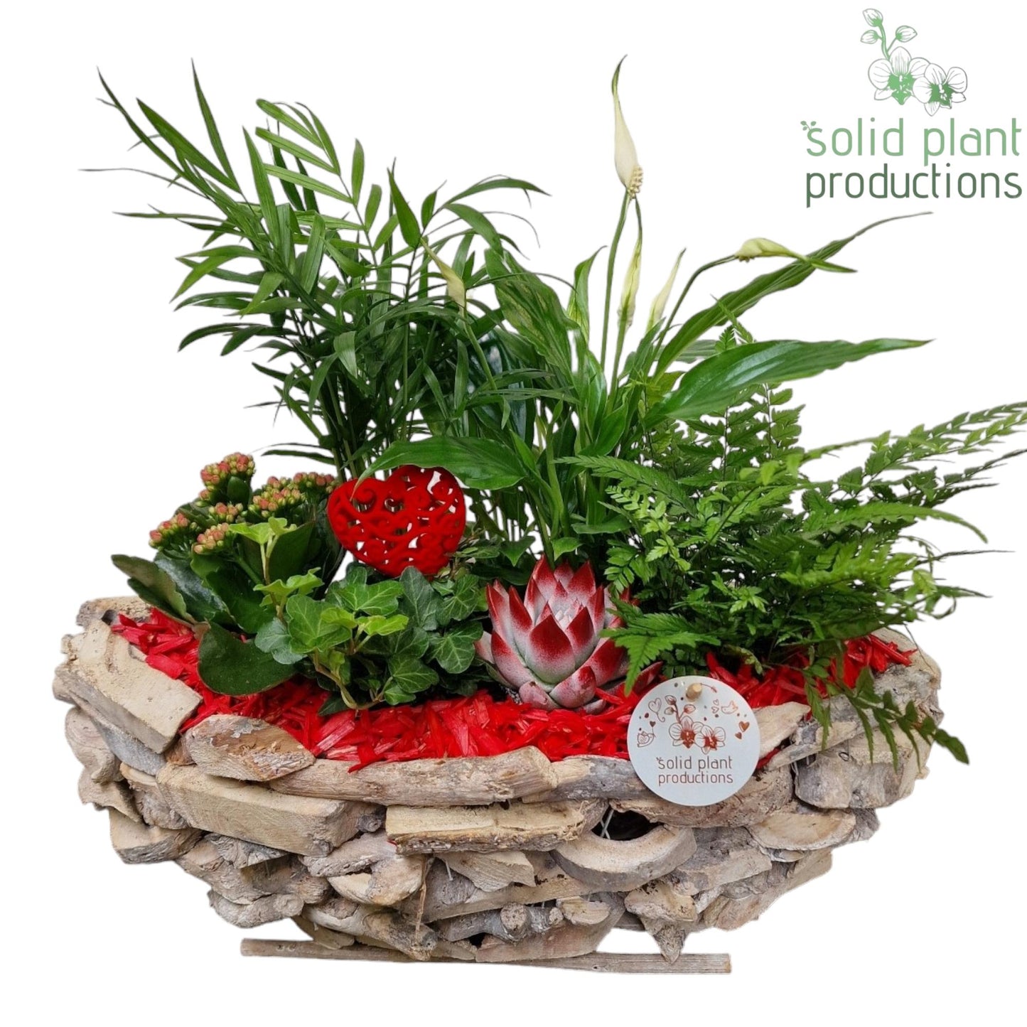 SCE012 Driftwood Boat White Washed Red Love 45cm 46cm Pot