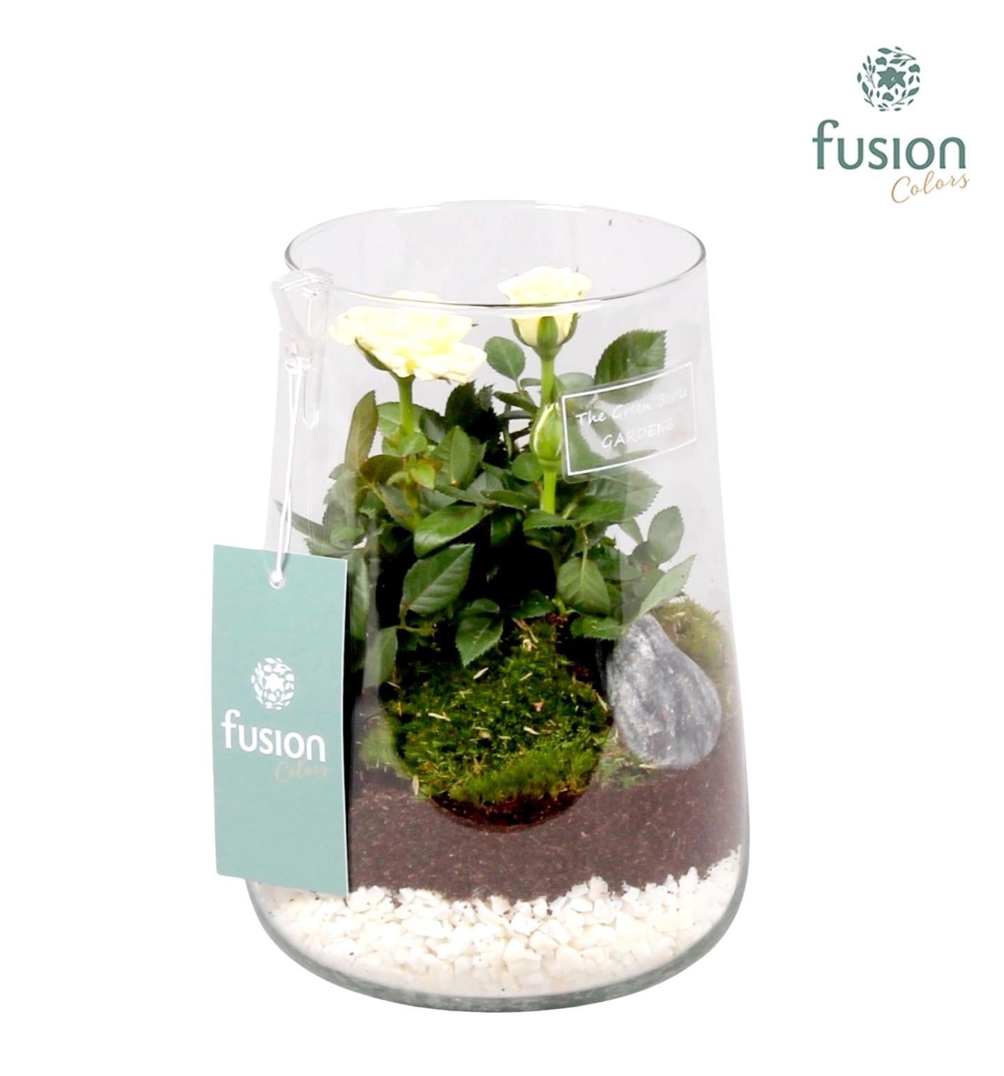 Green Bottle Deline Medium met Potroos 20cm 13cm Pot
