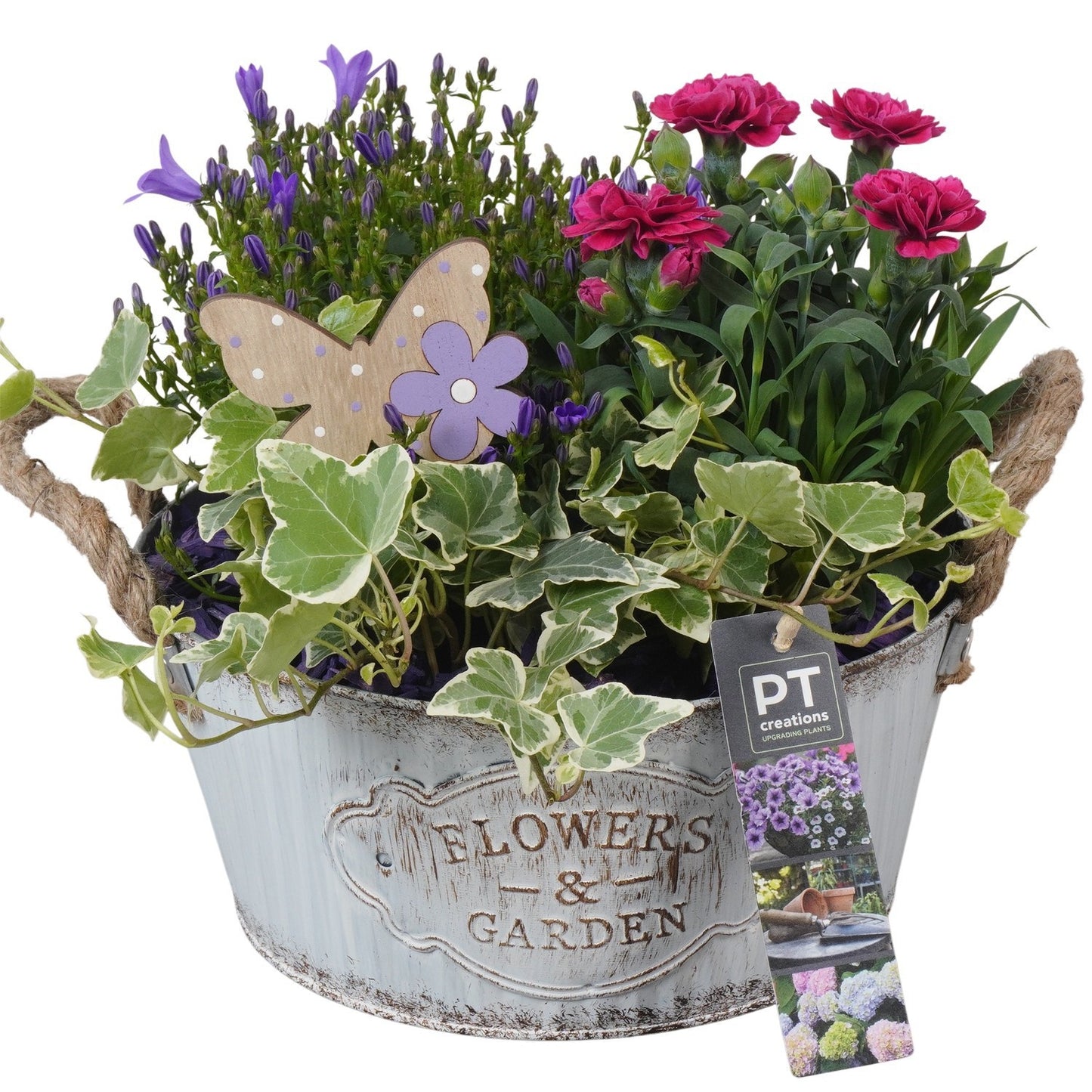 Outdoor arrangement 24cm 22cm Pot