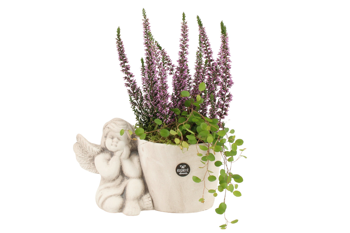 arr. all saints day 27cm 11cm Pot