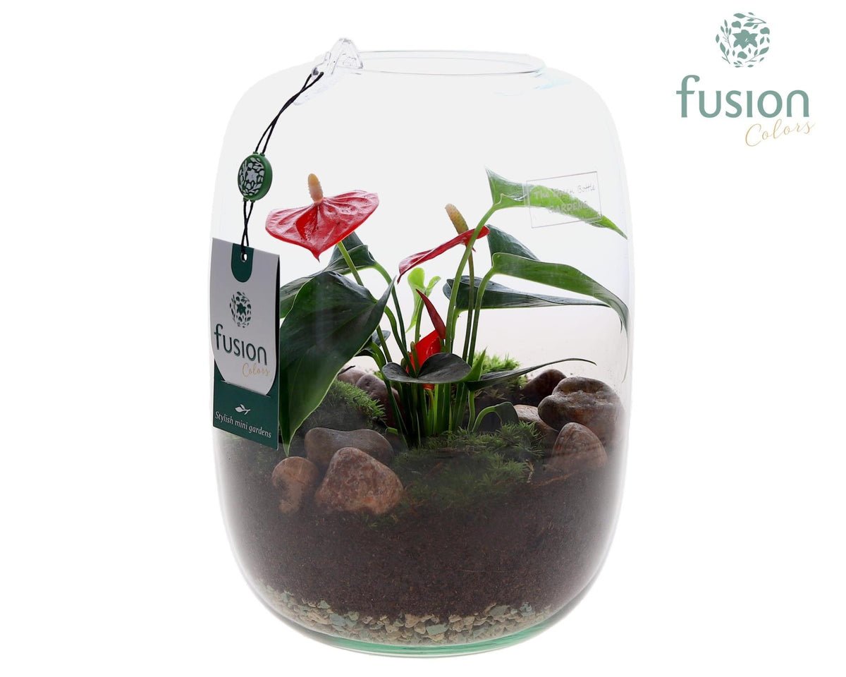Green Bottle Isabella Large met Anthurium 25cm 19cm Pot