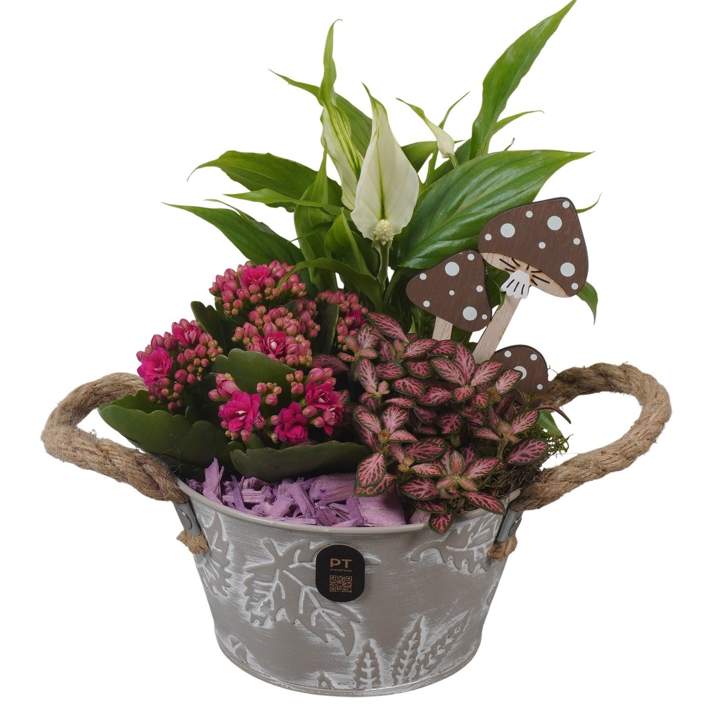 Indoor arrangement 29cm 15cm Pot