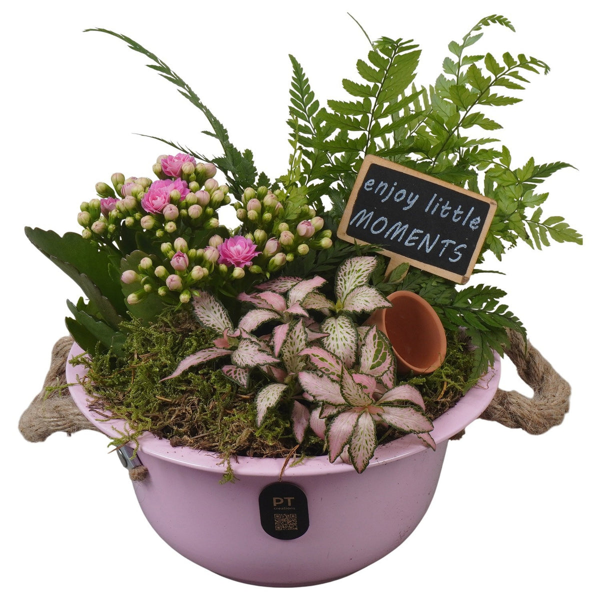 Indoor arrangement 20cm 18cm Pot