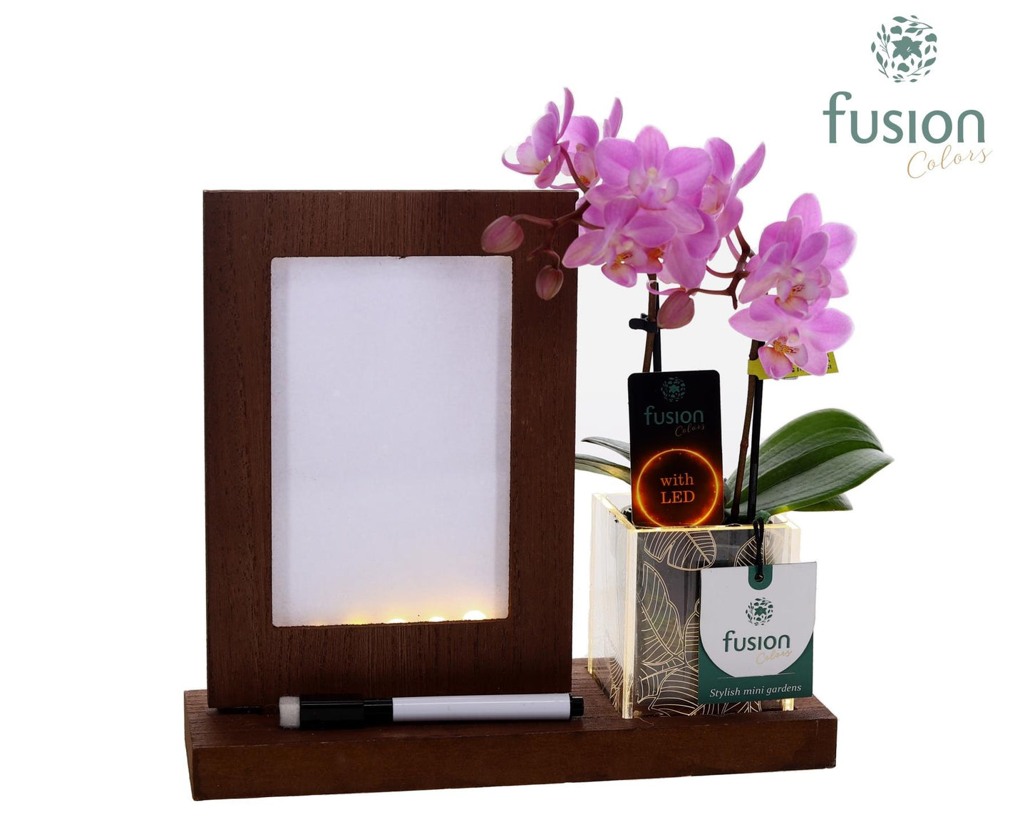 Acryl LED Glow Art Frame met Phalaenopsis 29cm 23cm Pot