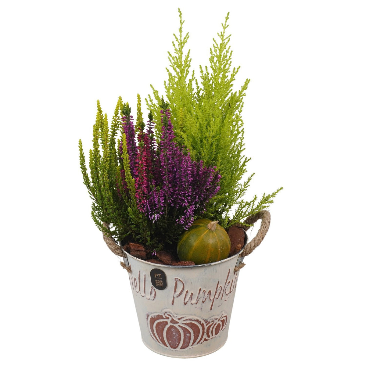 Outdoor arrangement 40cm 16cm Pot