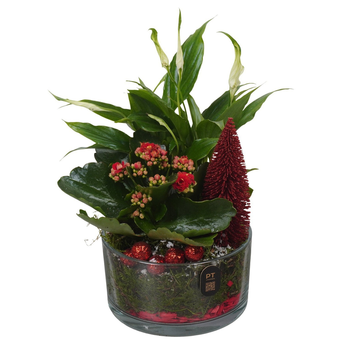 Christmas arrangement 27cm 14cm Pot
