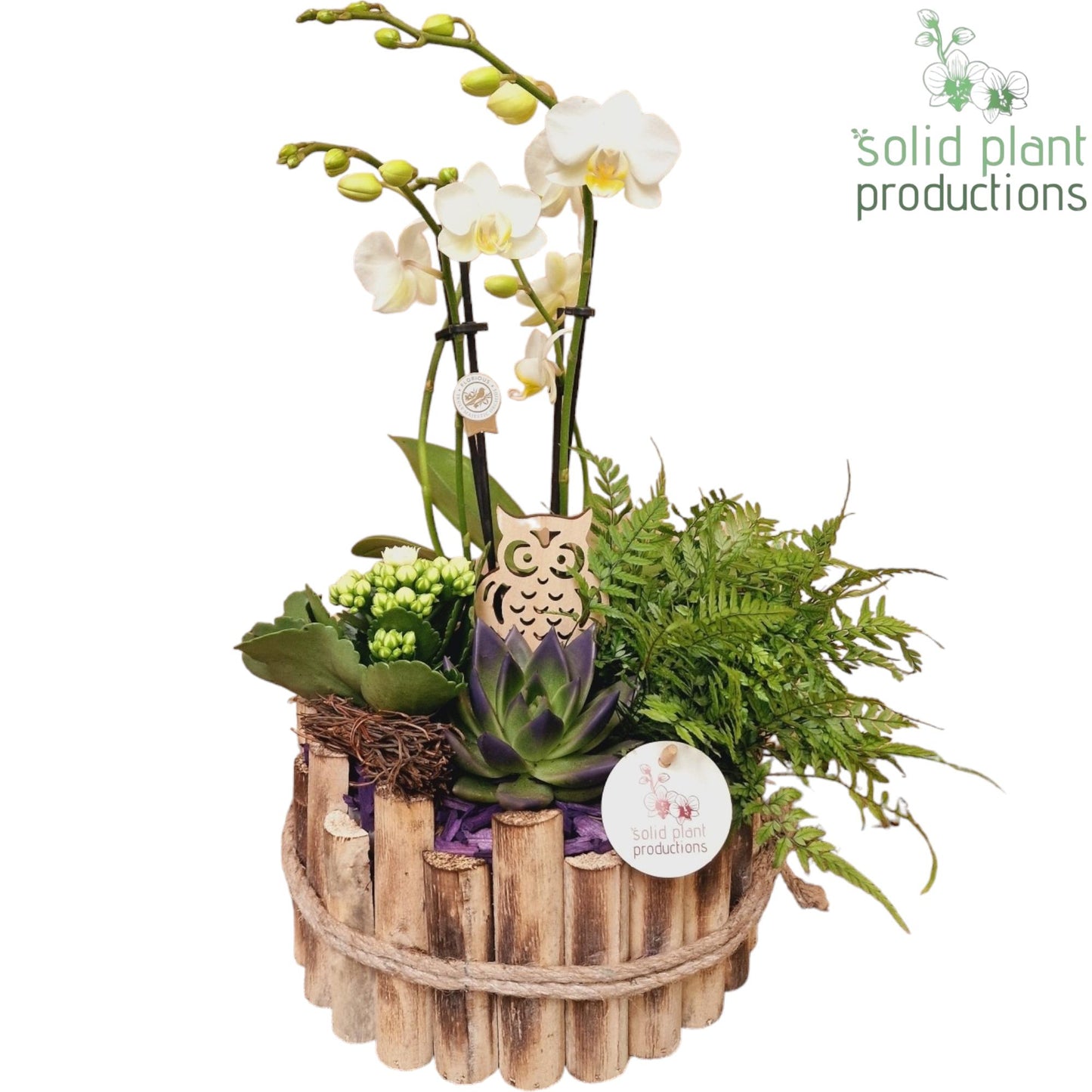 HPE002 Milano Large Autumn Purple 45cm 23cm Pot