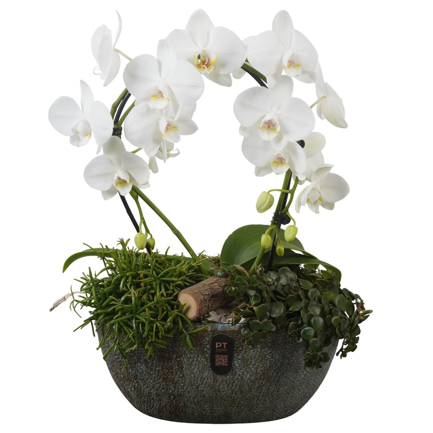 Indoor arrangement 47cm 28cm Pot