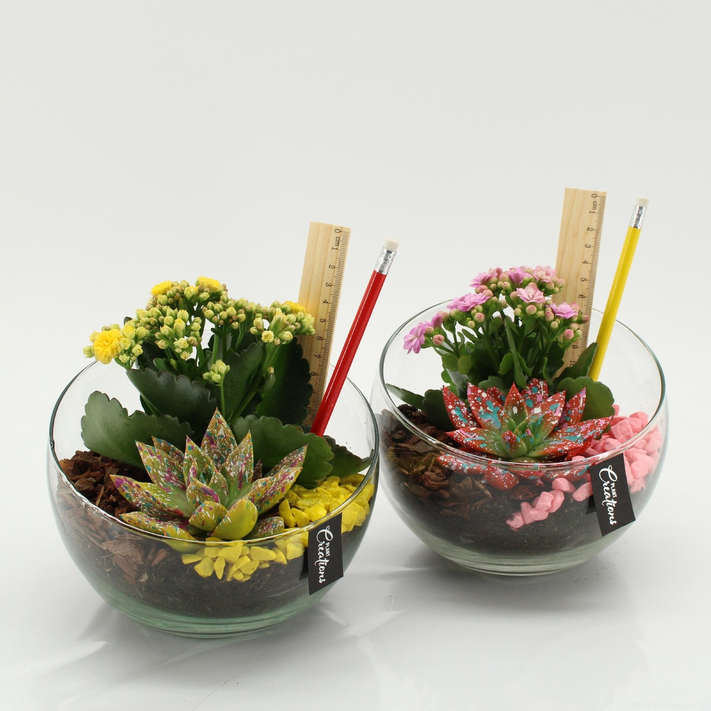 SSCR-2608 School Creations 20cm 18cm Pot