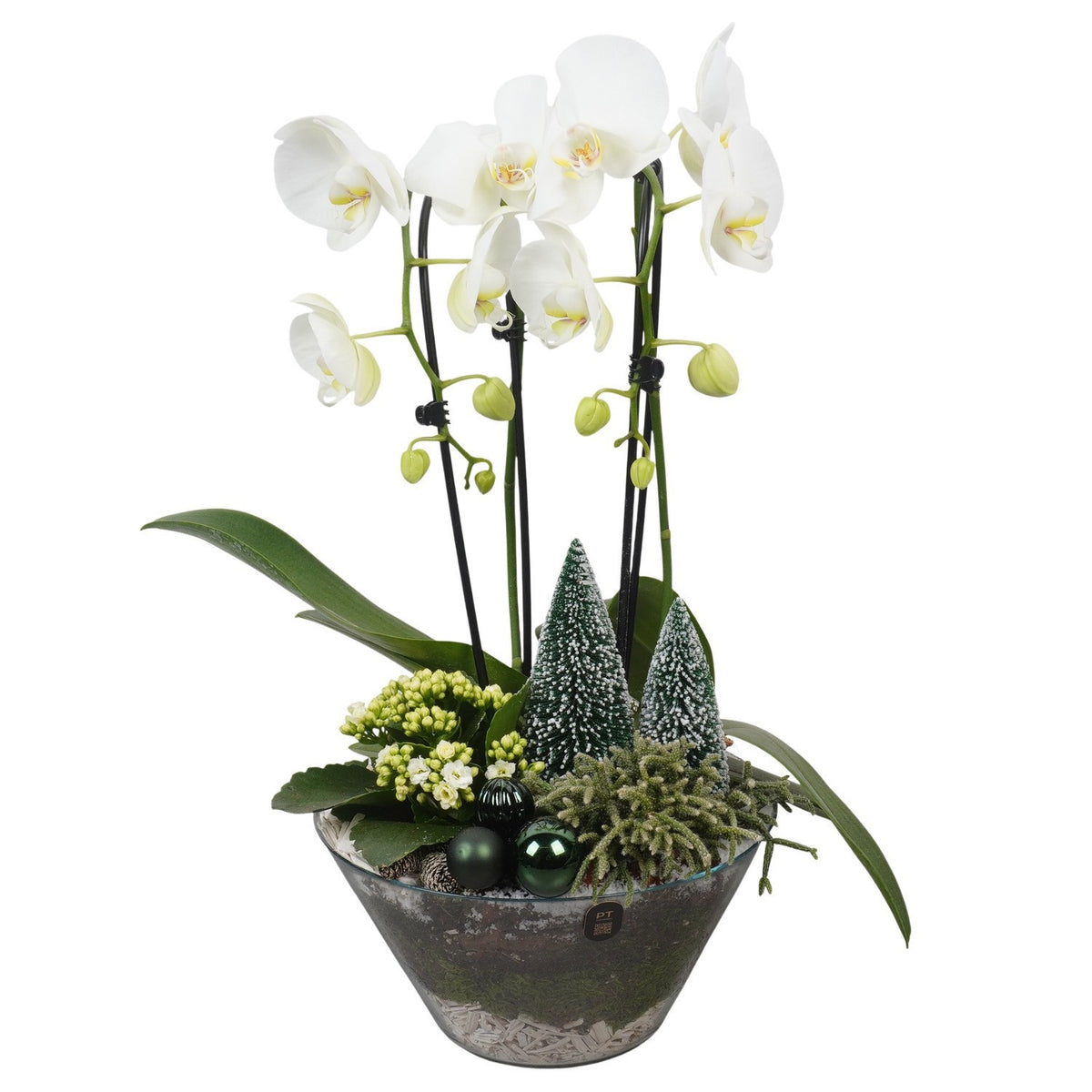 Christmas arrangement 57cm 25cm Pot
