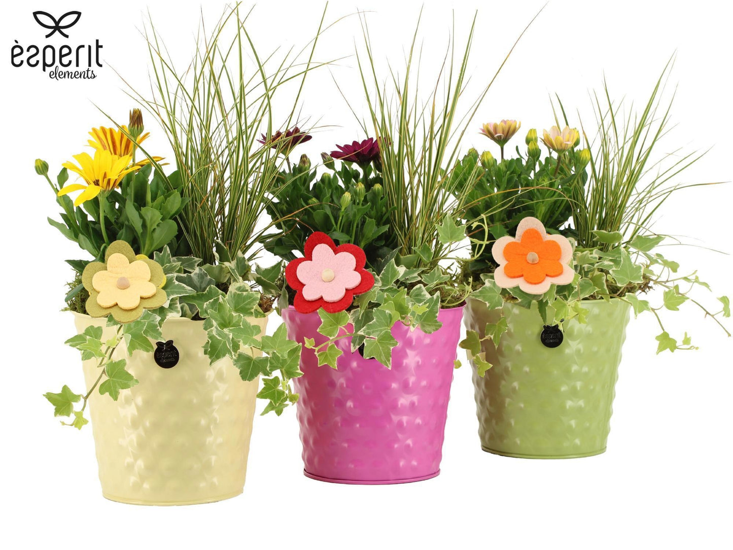 Outdoor arrangement 32cm 16cm Pot