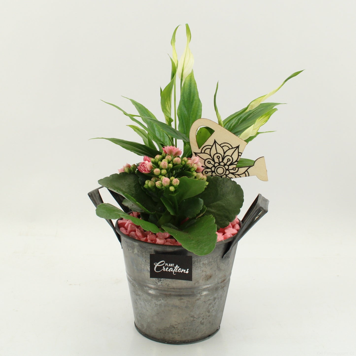 FDCR-2613RZ Basic Fundamentals 30cm 14cm Pot
