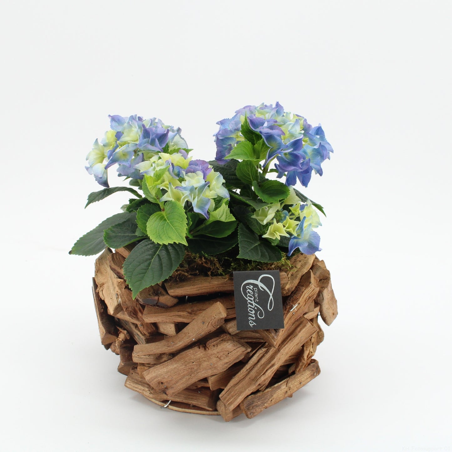 KHCR-2624B Hydrangea creatie 30cm 20cm Pot