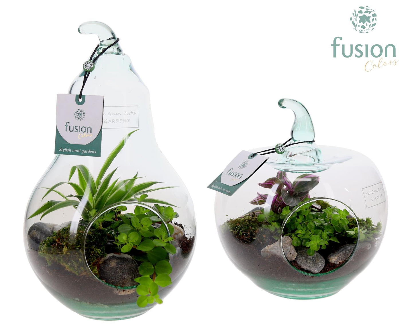 Peer en Appel glas met arrangement 25cm 18cm Pot