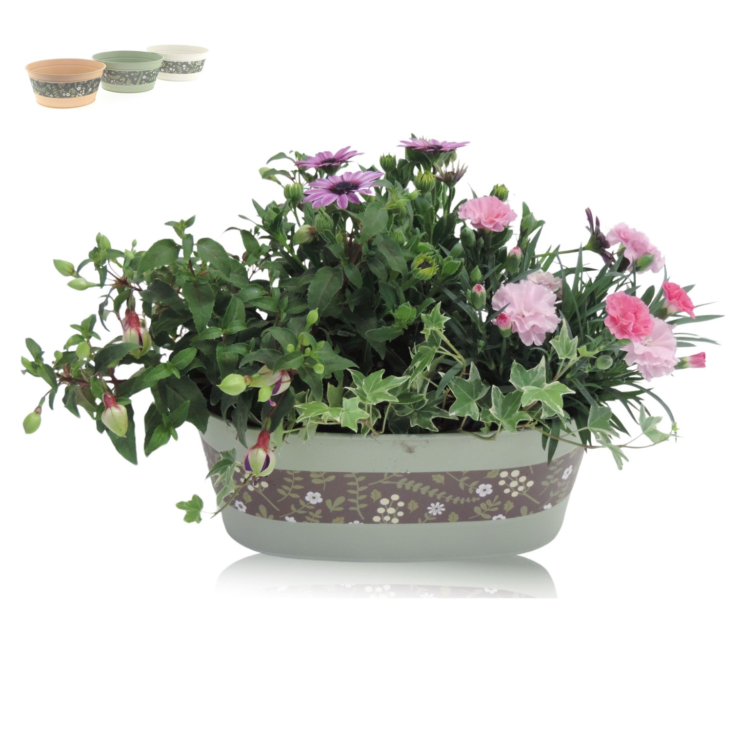 Outdoor arrangement 30cm 26cm Pot