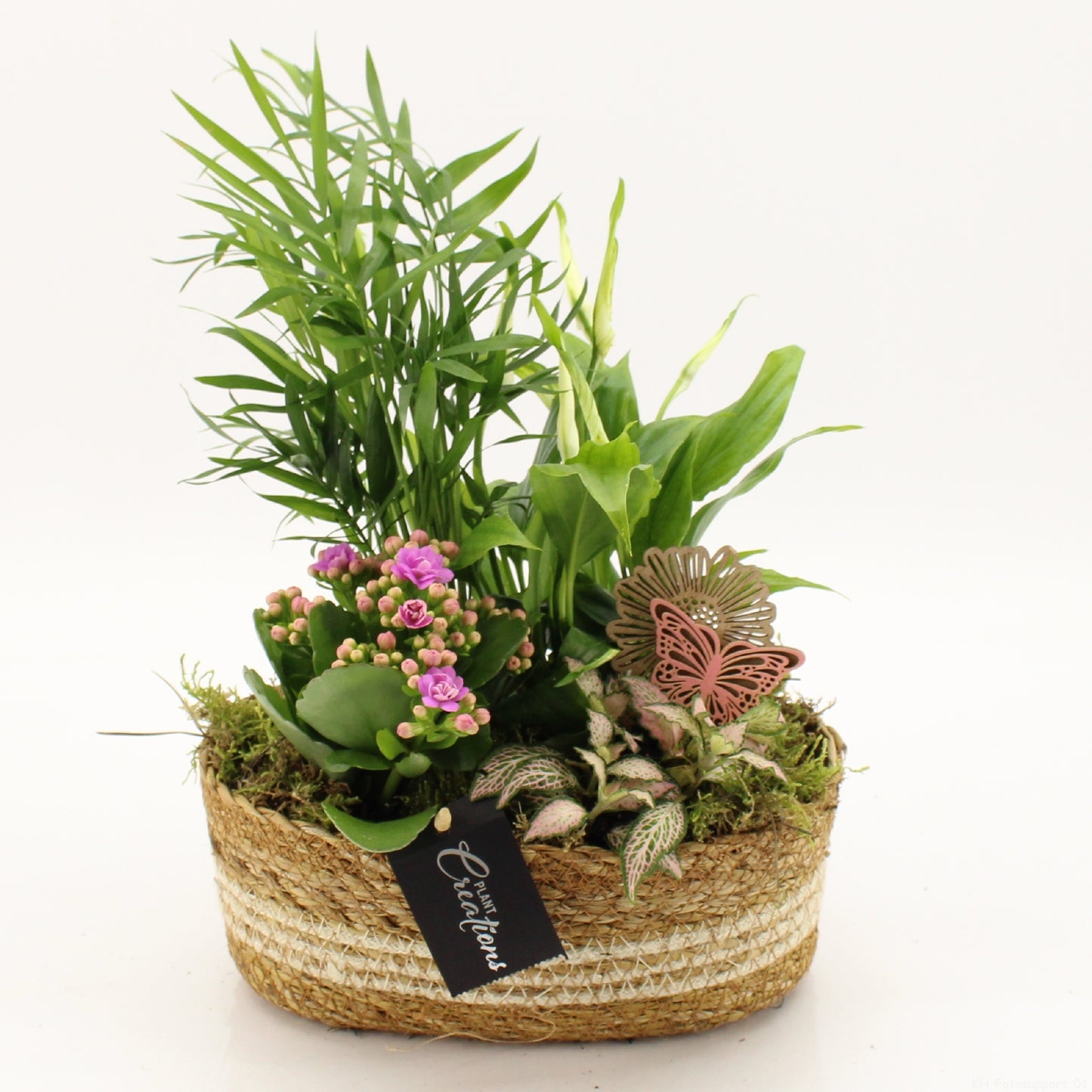 PROMO-A2602 35cm 24cm Pot