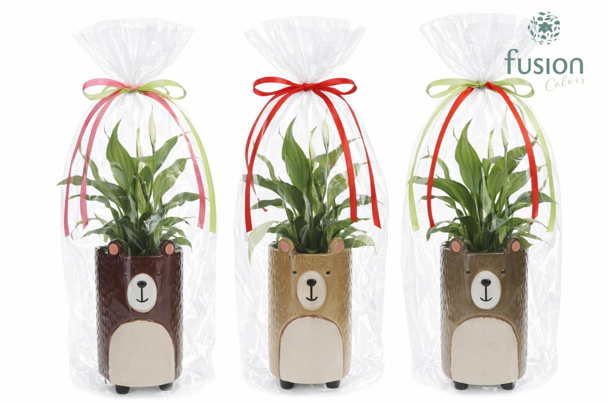 Keramiek Dieren Beren met Spathiphyllum in klaphoes 43cm 9cm Pot