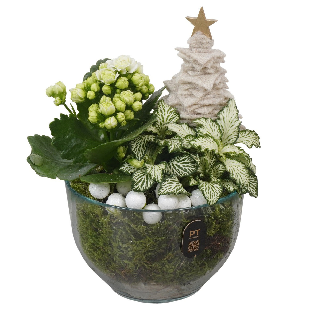 Christmas arrangement 19cm 13cm Pot