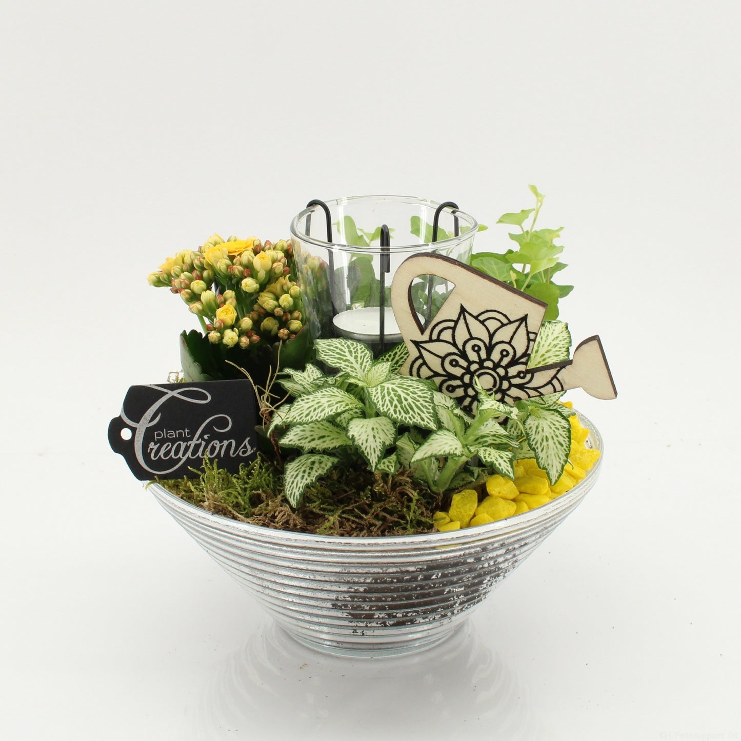 FDCR-2603G Basic Fundamentals 20cm 20cm Pot