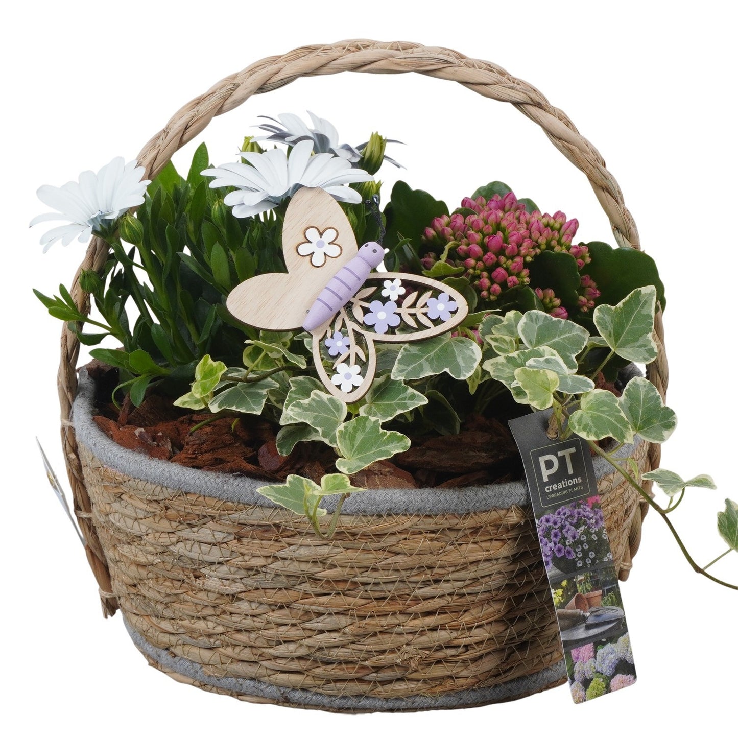 Outdoor arrangement 28cm 24cm Pot