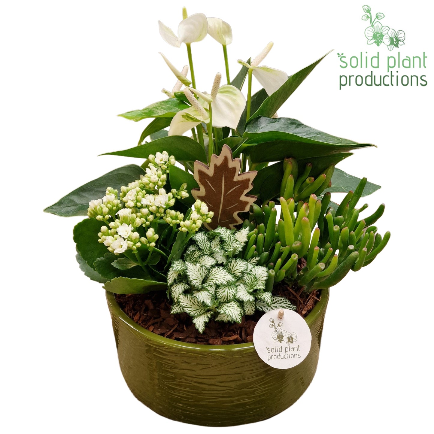 AT004 Stella Green White 42cm 22cm Pot