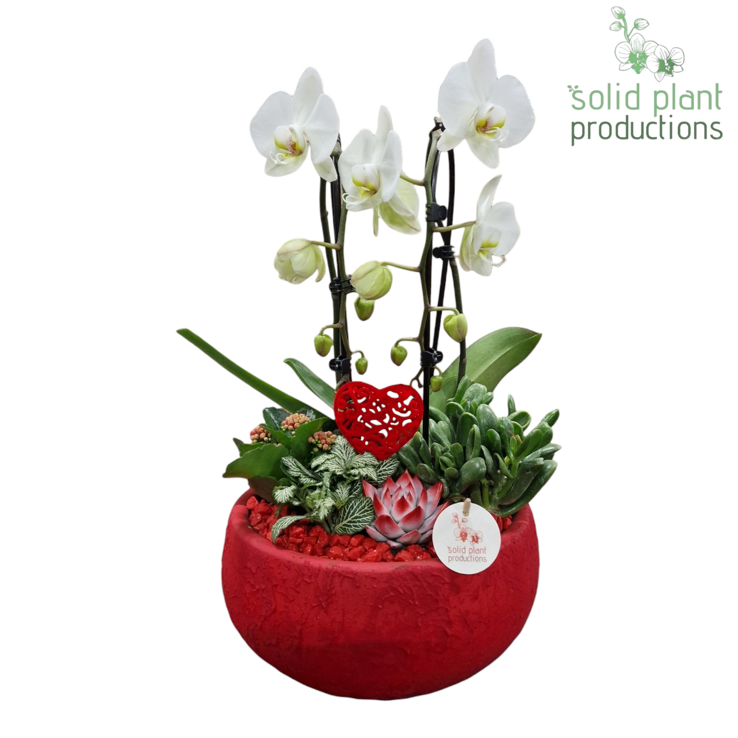 PH030 Esra Red Mothersday Special 28cm Pot