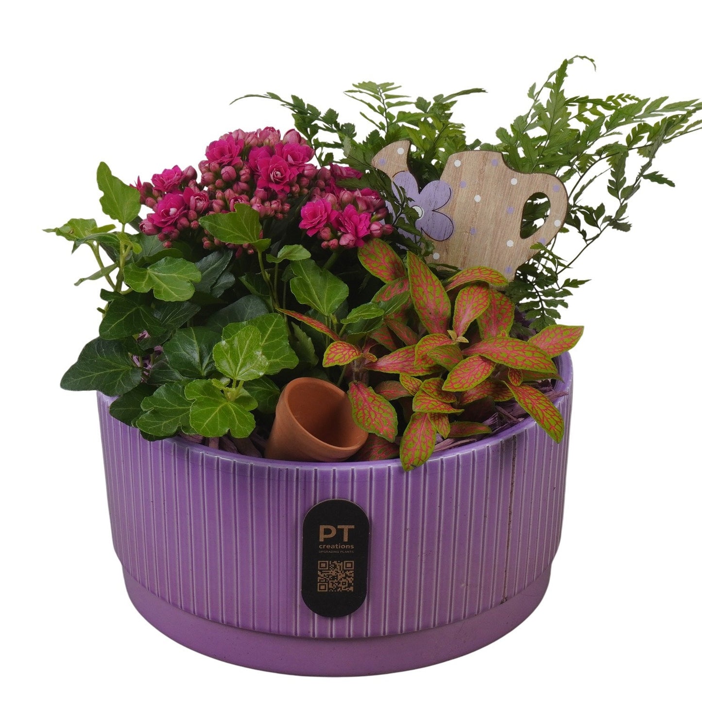Indoor arrangement 19cm 19cm Pot