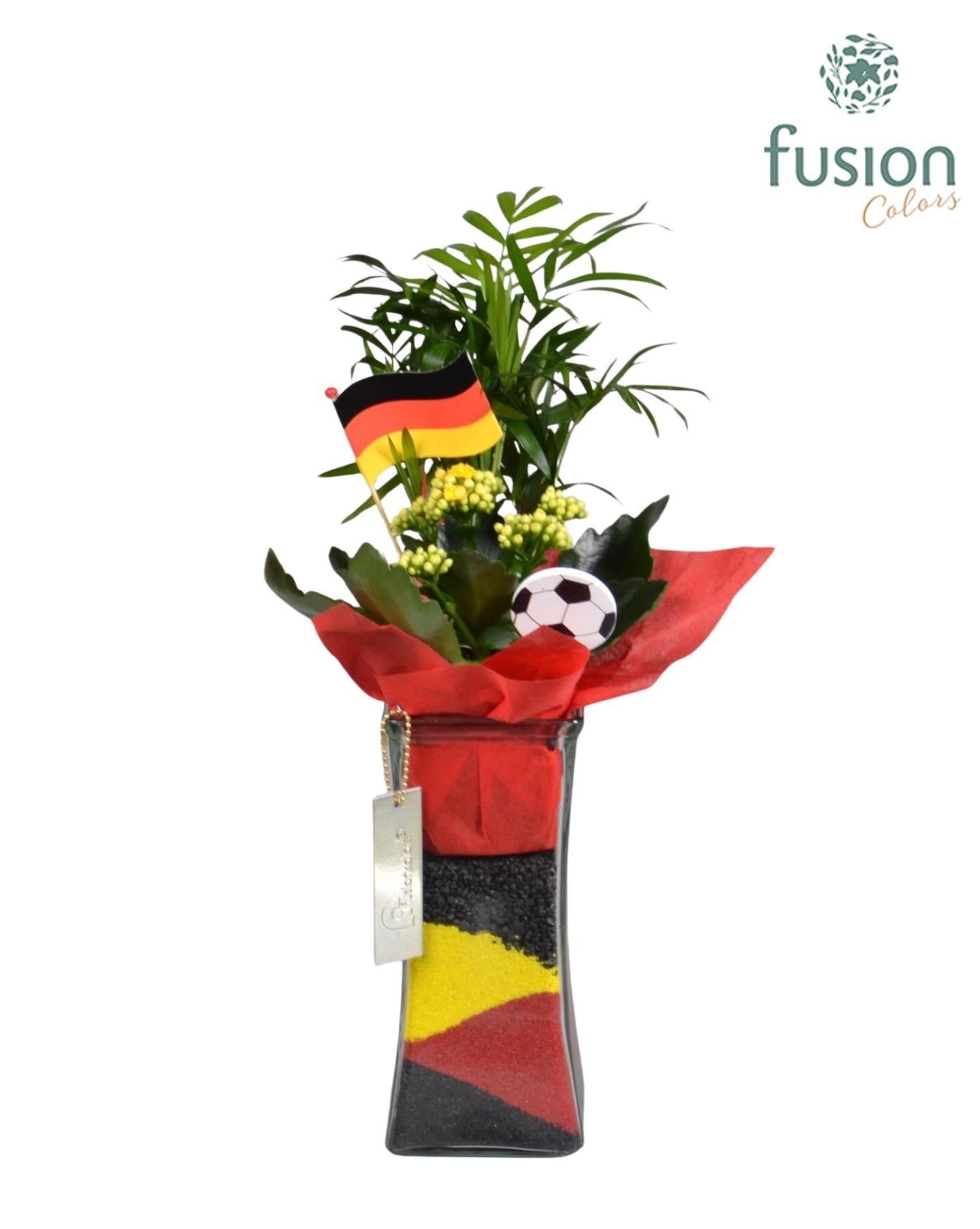 Fusioncolors BV Glas twistervaas 1020 met Arrangement voetbal Duitsland 2pp Pack of 6