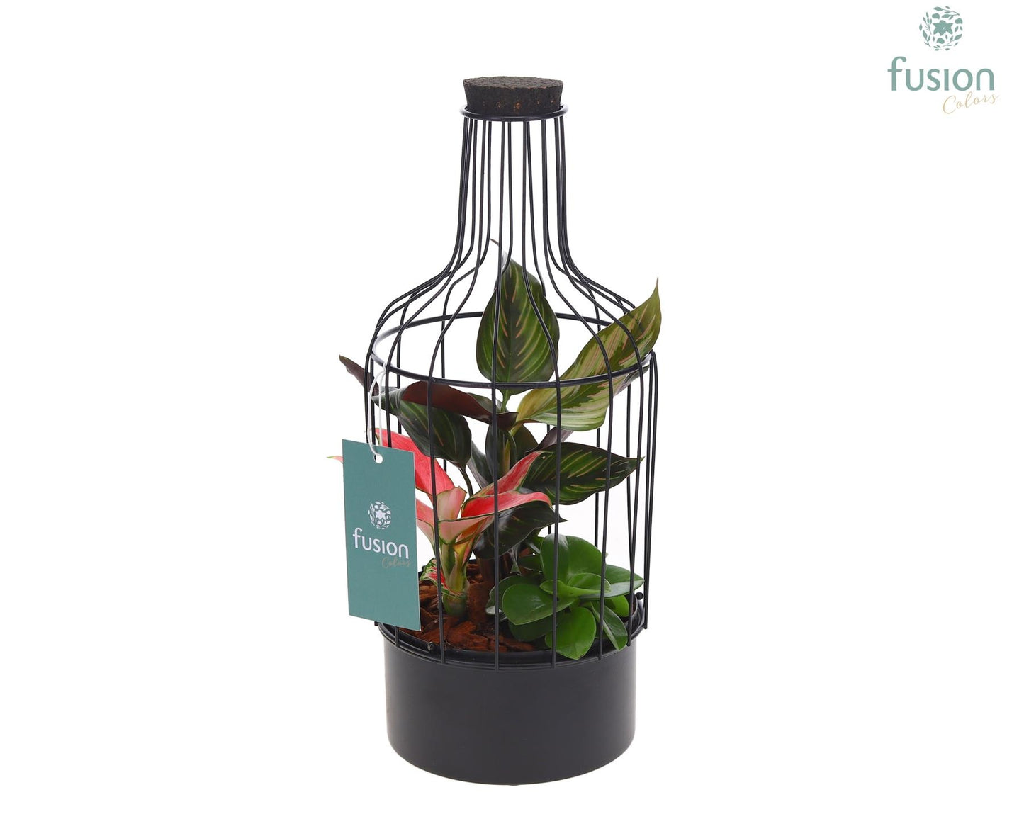 Metaal fles zwart Small met Trendy planten 29cm 13cm Pot