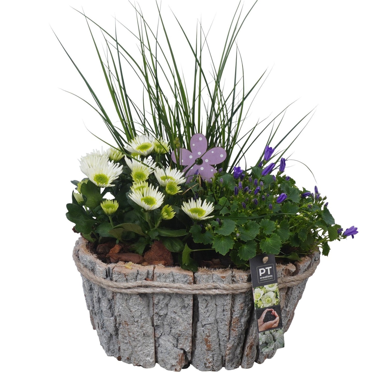 Outdoor arrangement 44cm 29cm Pot