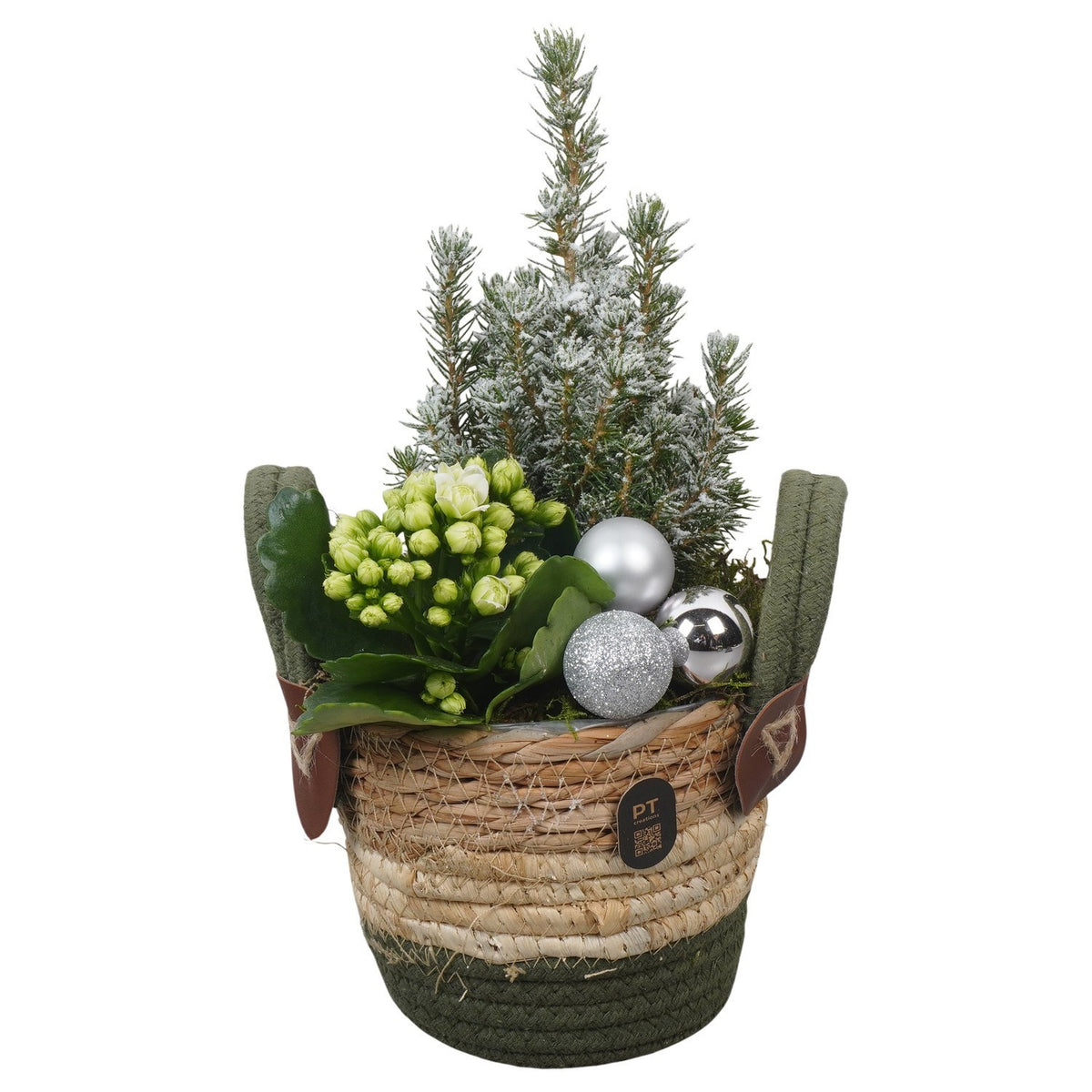 Christmas arrangement 31cm 14cm Pot
