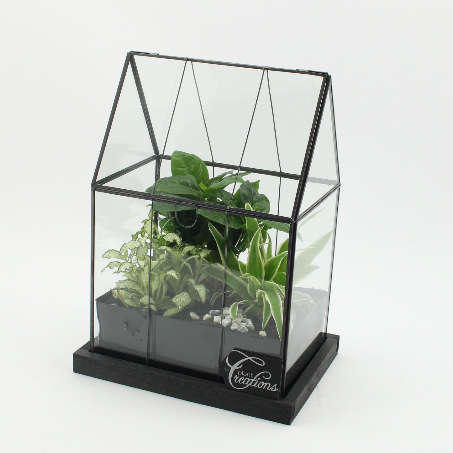 Indoor green arrangement 31cm 23cm Pot