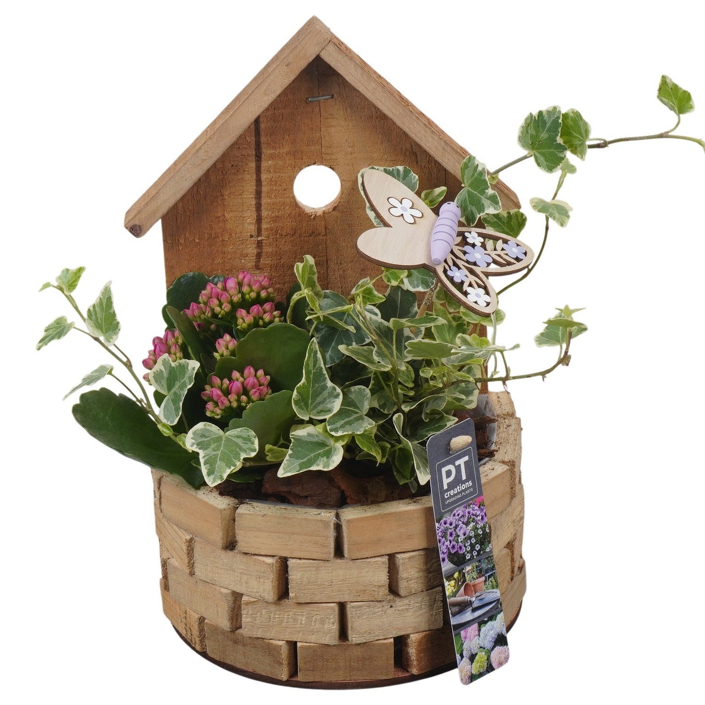Outdoor arrangement 27cm 16cm Pot