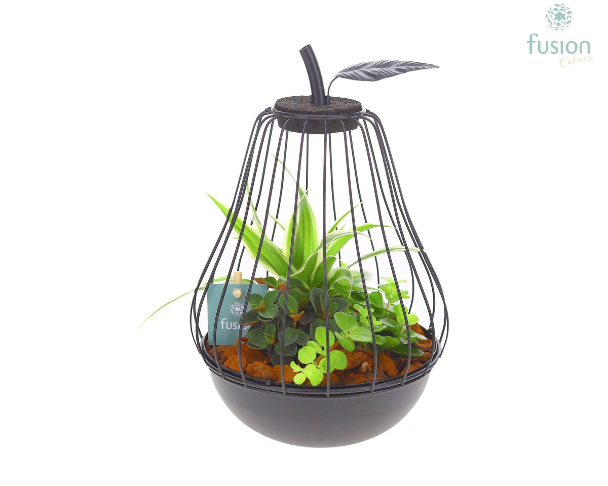 Metaal peer zwart Small met arrangement 25cm 17cm Pot