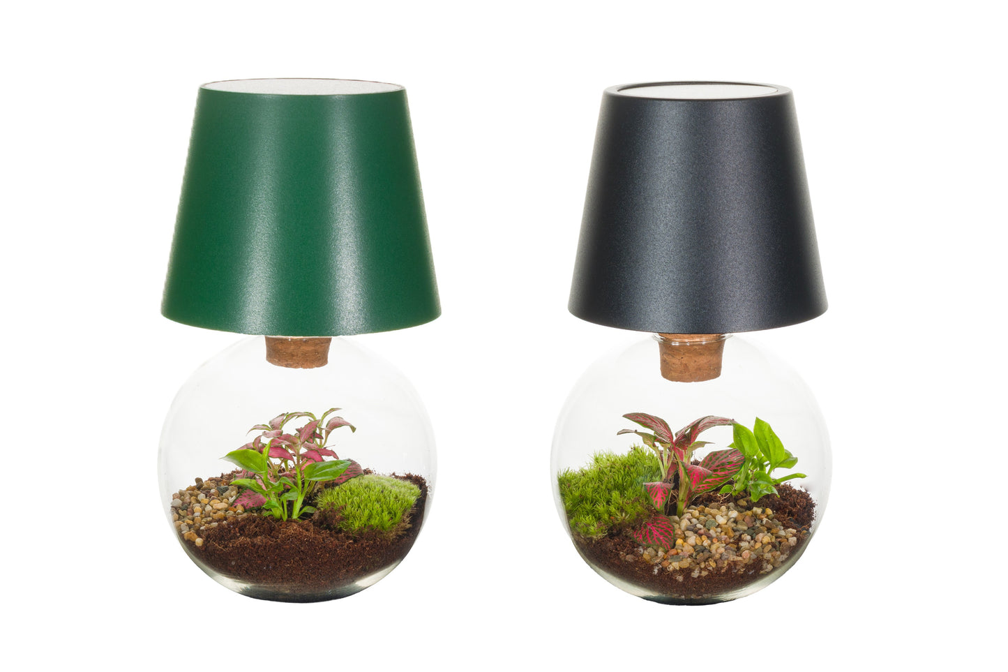 Wardians Terrarium - Cosmolight + LED (USB-C rechargeable) 21cm 12cm Pot