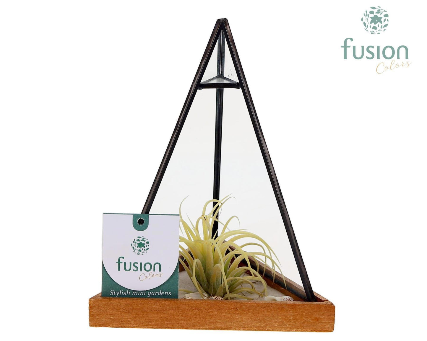 Glas Pyramide met metaal Small met Tillandsia Air plants 20cm 14cm Pot